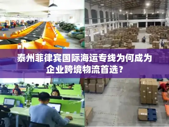 泰州菲律宾国际海运专线为何成为企业跨境物流首选？