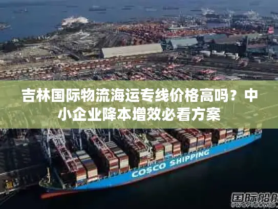 吉林国际物流海运专线价格高吗？中小企业降本增效必看方案
