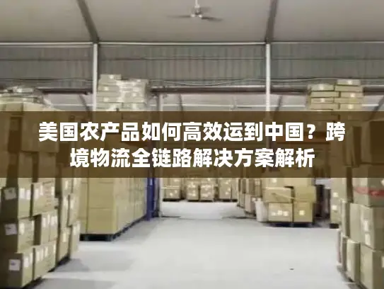 美国农产品如何高效运到中国？跨境物流全链路解决方案解析
