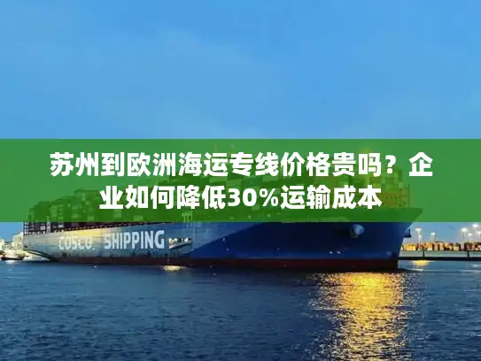 苏州到欧洲海运专线价格贵吗？企业如何降低30%运输成本