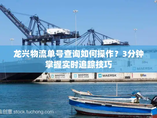 龙兴物流单号查询如何操作？3分钟掌握实时追踪技巧