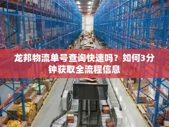 龙邦物流单号查询快速吗？如何3分钟获取全流程信息