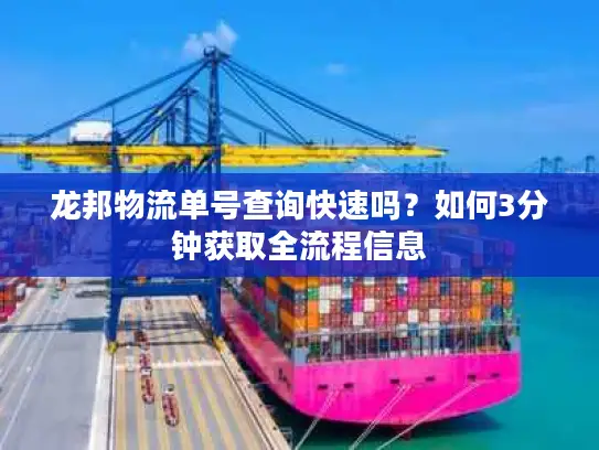龙邦物流单号查询快速吗？如何3分钟获取全流程信息