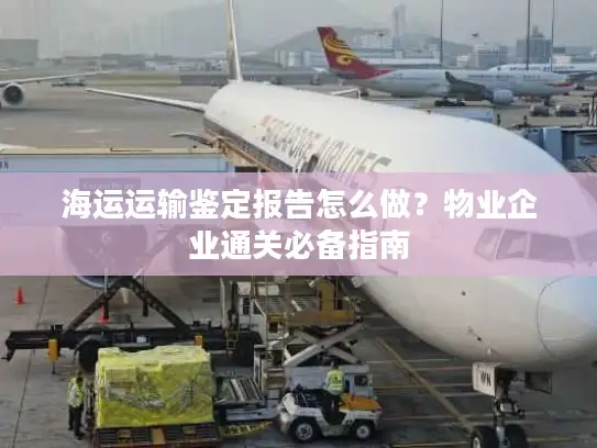 海运运输鉴定报告怎么做？物业企业通关必备指南