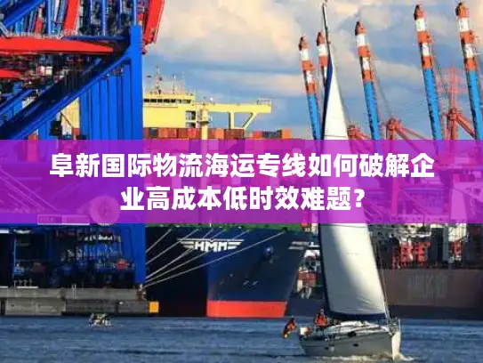 阜新国际物流海运专线如何破解企业高成本低时效难题？