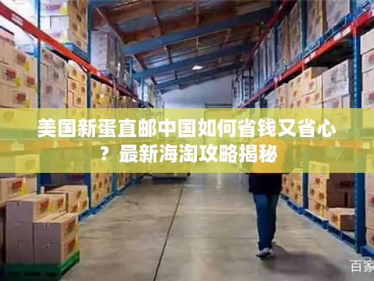 美国新蛋直邮中国如何省钱又省心？最新海淘攻略揭秘