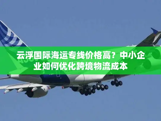 云浮国际海运专线价格高？中小企业如何优化跨境物流成本