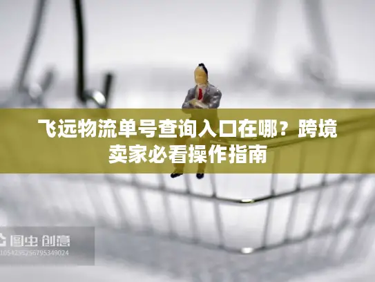 飞远物流单号查询入口在哪？跨境卖家必看操作指南