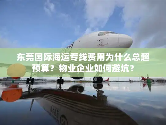 东莞国际海运专线费用为什么总超预算？物业企业如何避坑？