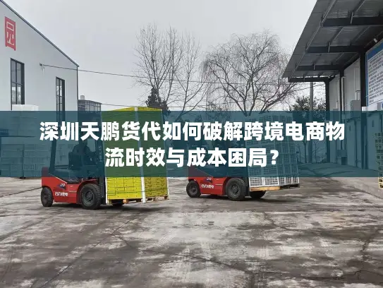 深圳天鹏货代如何破解跨境电商物流时效与成本困局？