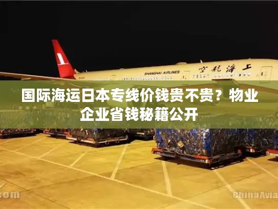 国际海运日本专线价钱贵不贵？物业企业省钱秘籍公开