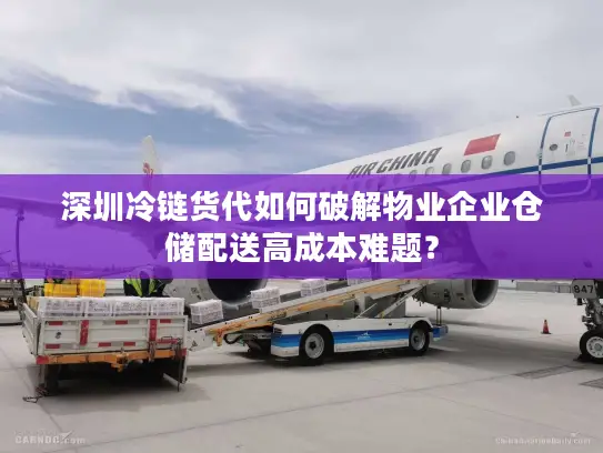 深圳冷链货代如何破解物业企业仓储配送高成本难题？
