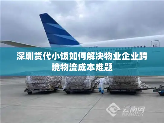 深圳货代小饭如何解决物业企业跨境物流成本难题