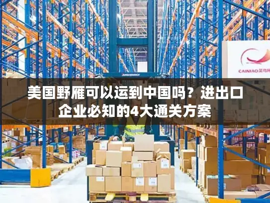 美国野雁可以运到中国吗？进出口企业必知的4大通关方案