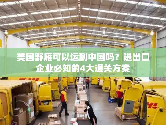 美国野雁可以运到中国吗？进出口企业必知的4大通关方案
