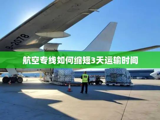 航空专线如何缩短3天运输时间
