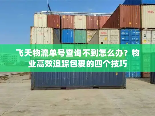 飞天物流单号查询不到怎么办？物业高效追踪包裹的四个技巧