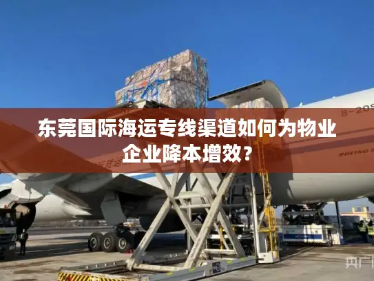 东莞国际海运专线渠道如何为物业企业降本增效？