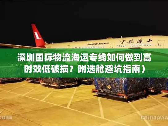 深圳国际物流海运专线如何做到高时效低破损？附选舱避坑指南）