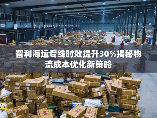 智利海运专线时效提升30%揭秘物流成本优化新策略