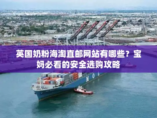 英国奶粉海淘直邮网站有哪些？宝妈必看的安全选购攻略
