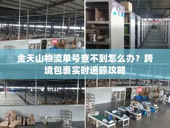 金天山物流单号查不到怎么办？跨境包裹实时追踪攻略