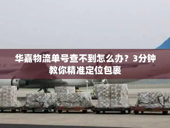 华嘉物流单号查不到怎么办？3分钟教你精准定位包裹