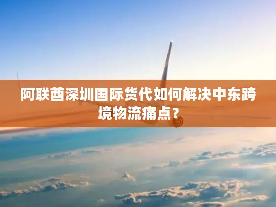 阿联酋深圳国际货代如何解决中东跨境物流痛点？