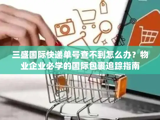 三盛国际快递单号查不到怎么办？物业企业必学的国际包裹追踪指南