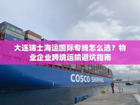 大连瑞士海运国际专线怎么选？物业企业跨境运输避坑指南