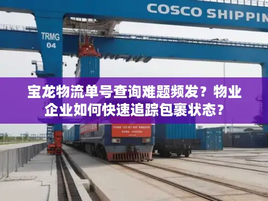 宝龙物流单号查询难题频发？物业企业如何快速追踪包裹状态？