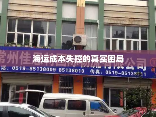 海运成本失控的真实困局