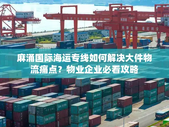 麻涌国际海运专线如何解决大件物流痛点？物业企业必看攻略