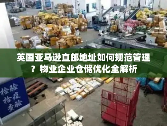 英国亚马逊直邮地址如何规范管理？物业企业仓储优化全解析