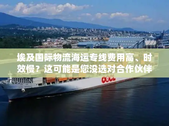 埃及国际物流海运专线费用高、时效慢？这可能是您没选对合作伙伴