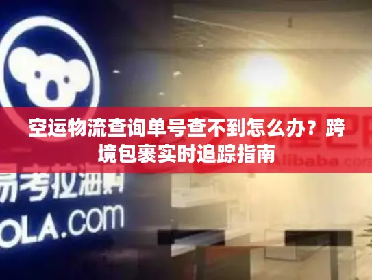 空运物流查询单号查不到怎么办？跨境包裹实时追踪指南