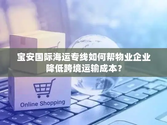 宝安国际海运专线如何帮物业企业降低跨境运输成本？