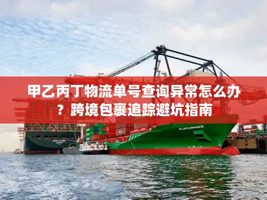 甲乙丙丁物流单号查询异常怎么办？跨境包裹追踪避坑指南
