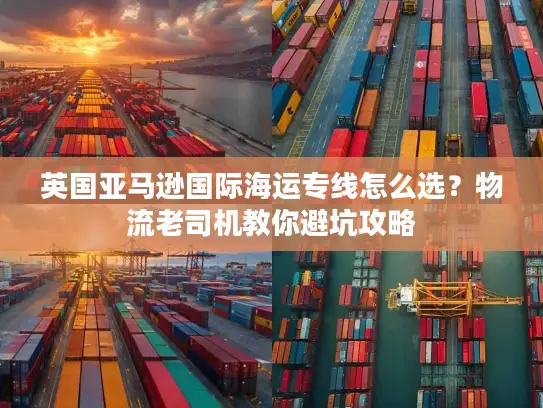 英国亚马逊国际海运专线怎么选？物流老司机教你避坑攻略