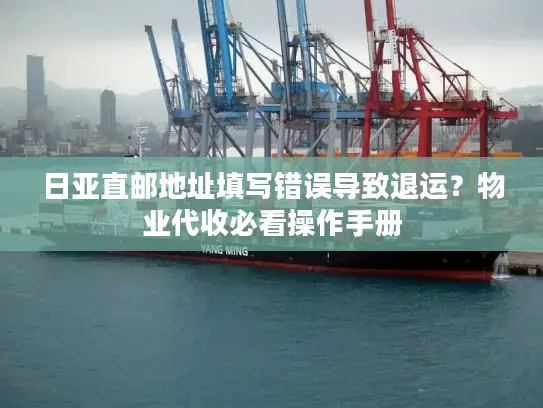 日亚直邮地址填写错误导致退运？物业代收必看操作手册