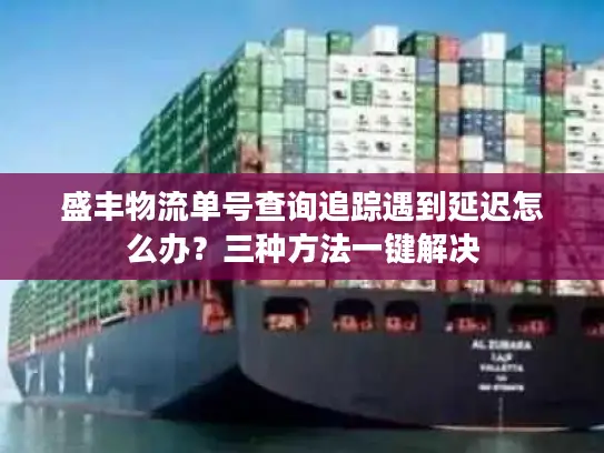 盛丰物流单号查询追踪遇到延迟怎么办？三种方法一键解决