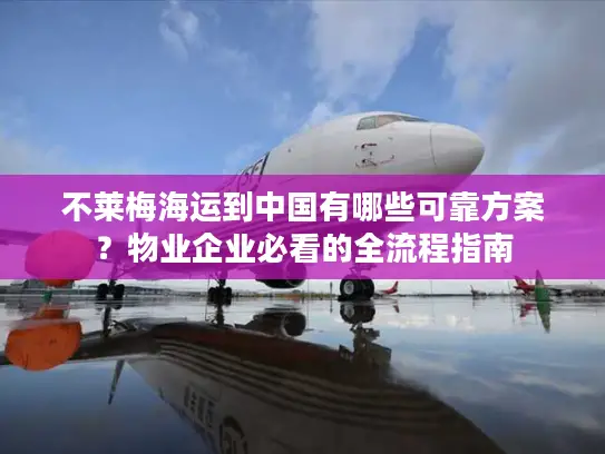 不莱梅海运到中国有哪些可靠方案？物业企业必看的全流程指南