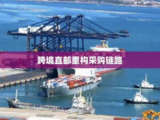 跨境直邮重构采购链路