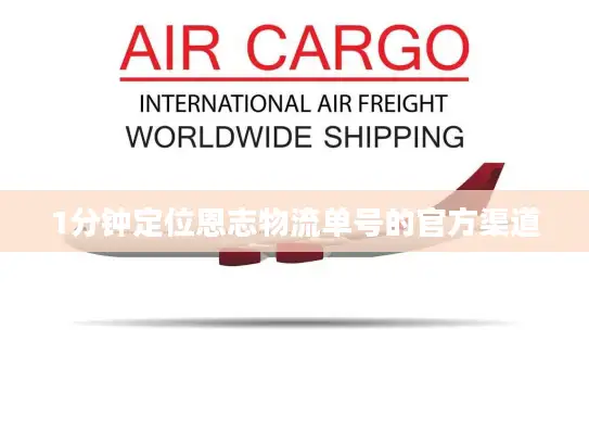 1分钟定位恩志物流单号的官方渠道
