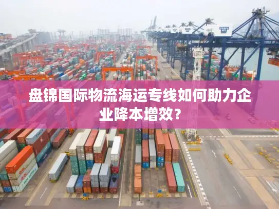 盘锦国际物流海运专线如何助力企业降本增效？