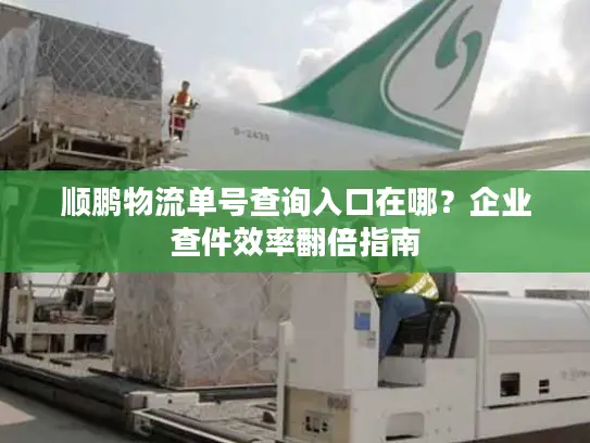 顺鹏物流单号查询入口在哪？企业查件效率翻倍指南