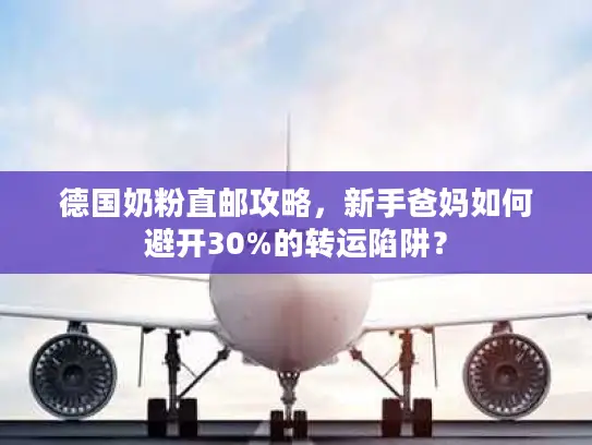 德国奶粉直邮攻略，新手爸妈如何避开30%的转运陷阱？
