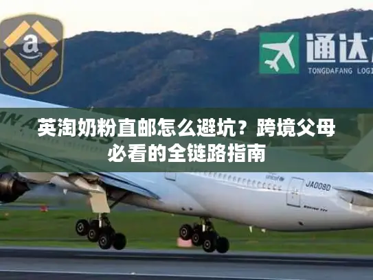 英淘奶粉直邮怎么避坑？跨境父母必看的全链路指南