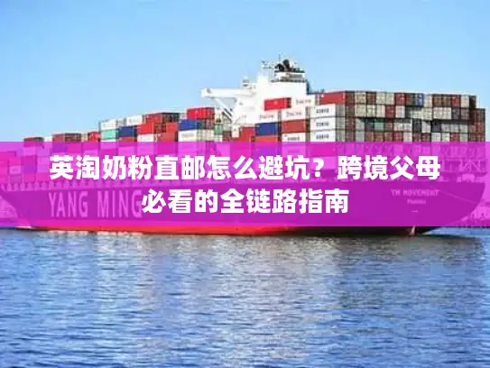 英淘奶粉直邮怎么避坑？跨境父母必看的全链路指南