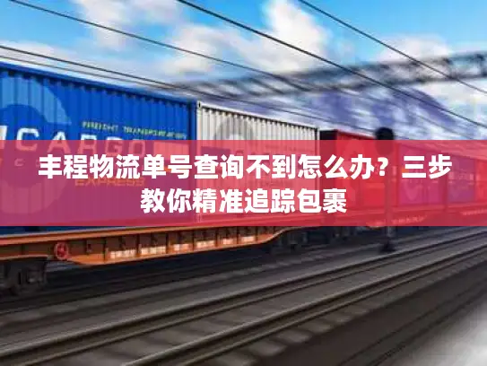 丰程物流单号查询不到怎么办？三步教你精准追踪包裹